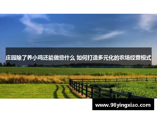 庄园除了养小鸡还能做些什么 如何打造多元化的农场经营模式