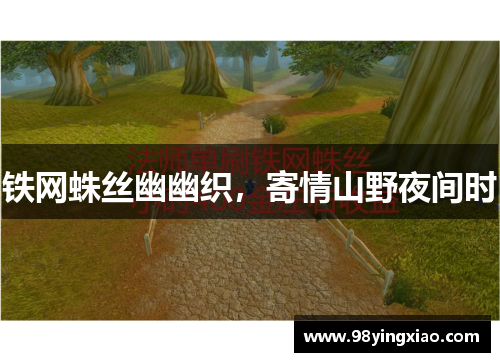 铁网蛛丝幽幽织，寄情山野夜间时